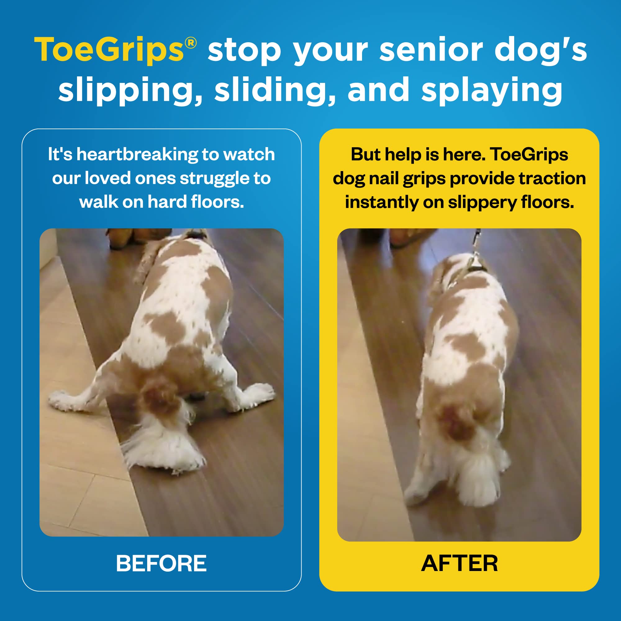 Dr Buzby's Medium ToeGrips for Dogs,Instant Traction on Wood/Hardwood Floors,Dog Anti Slip Relief,Dog Grippers for Senior Dogs,S